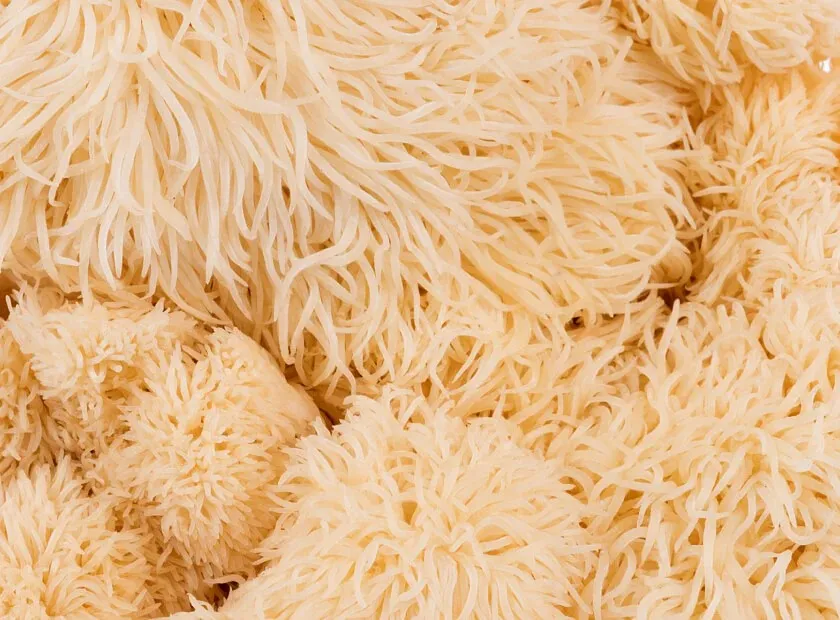 Cholibrium™ Lion's Mane functional mushroom